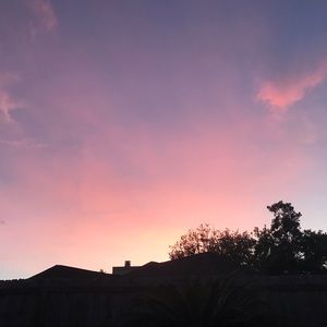 Meet your Posher, Evie